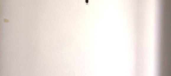 500m² Commercial property in Gaglianico, Italy No. 43598 5