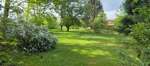 3 rooms Bungalow in Kirchstetten, Austria No. 244378 5