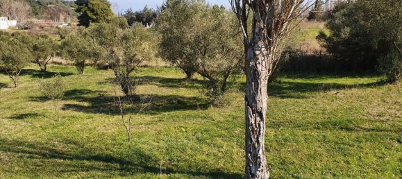 Stadthaus in Chalkidiki, Greece 310m², Nr. 4251 15