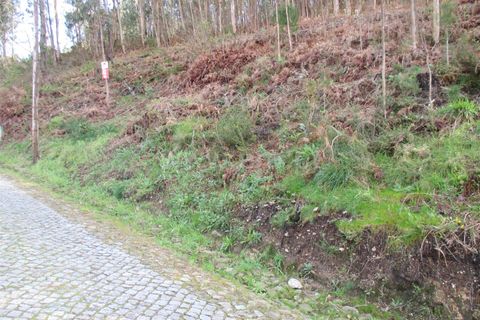 Terrain à Barcelos, Portugal No. 202221