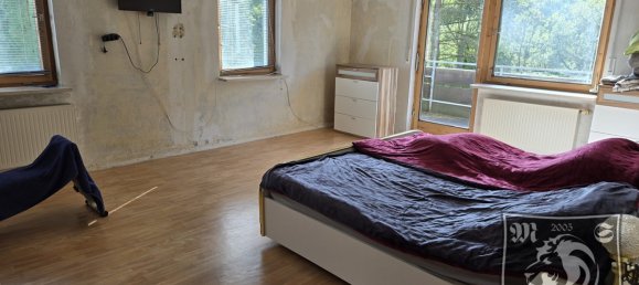 Дом с 7 комнатами в Диллинген ан дер Донау, Германия № 182230 12