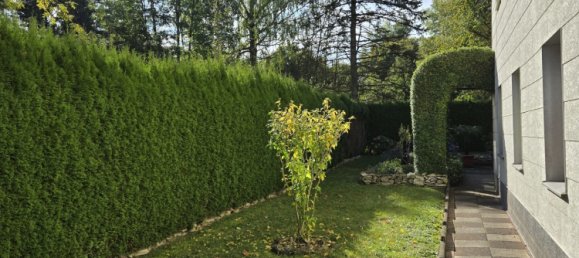 Дом с 7 комнатами в Диллинген ан дер Донау, Германия № 182230 20