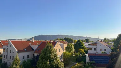 Studio à Langenzersdorf, Austria No. 235580