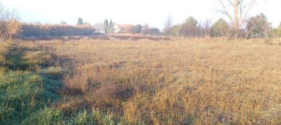  Land in Zaragoza, Spain No. 63708 3