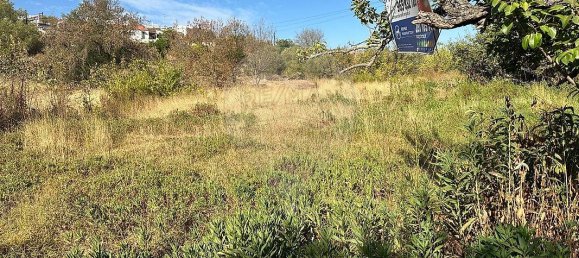 590m² Land in Azinhal, Portugal No. 47921 3