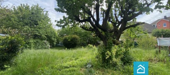 Terrain à Mundolsheim, France No. 65813 3