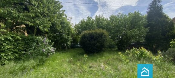 Terrain à Mundolsheim, France No. 65813 4