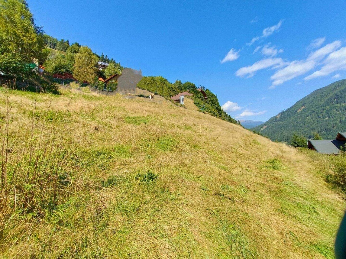 Terrain à Reichenau, Austria No. 242965