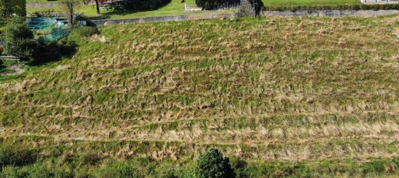 Terrain à Reichenau, Austria No. 242965 3