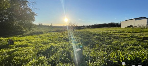  Land in Saint-Sulpice-d'Arnoult, France No. 114407 3