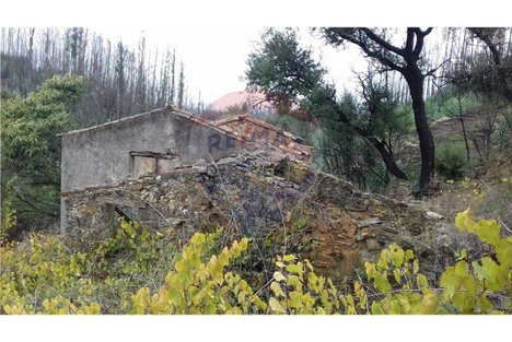 3 غرف نوم منزل في Serta, Portugal رقم 32052