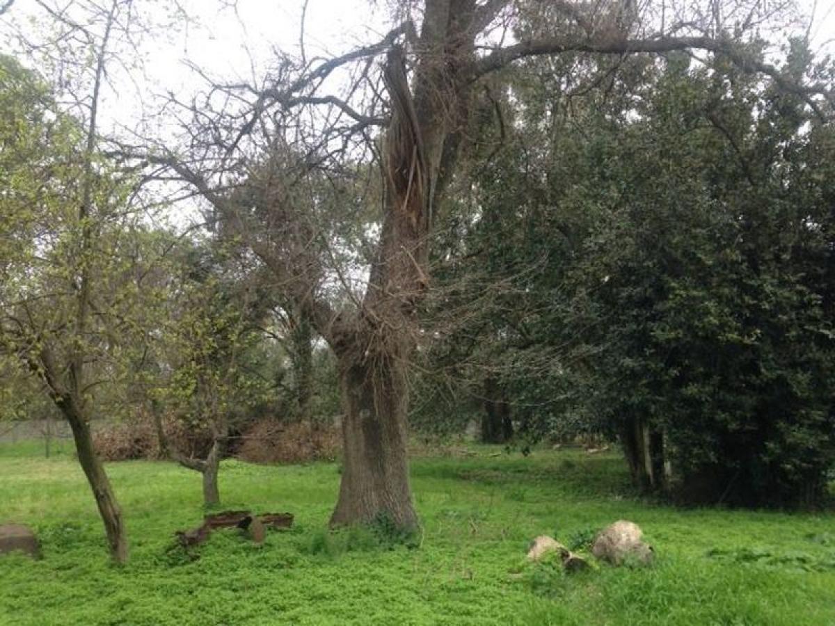  Farm in Campo Creado, Argentina No. 33495