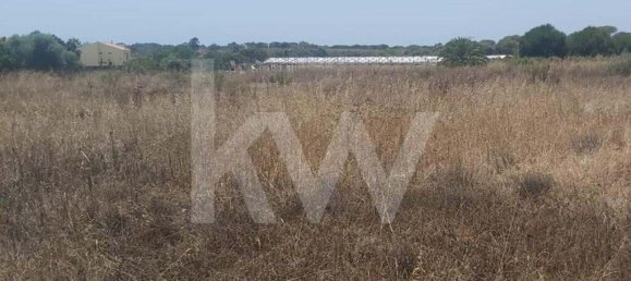 Grundstück in Faro, Portugal 13460m², Nr. 133190 6