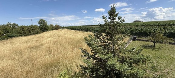 Casa de 3 dormitorios en Bad Durkheim, Germany No. 226910 4