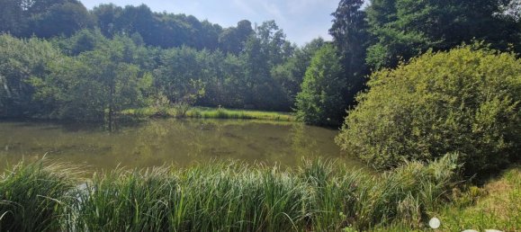 Grundstück in Bourguignon-sous-Montbavin, France 10000m², Nr. 241941 2