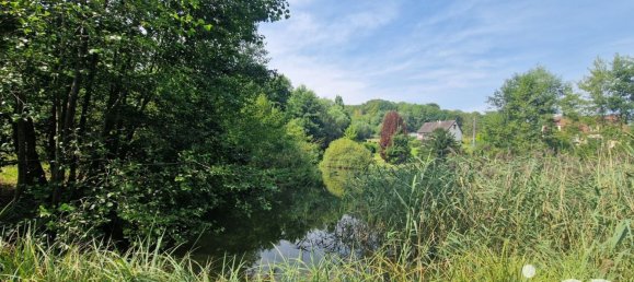 Grundstück in Bourguignon-sous-Montbavin, France 10000m², Nr. 241941 5