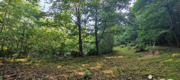 Grundstück in Bourguignon-sous-Montbavin, France 10000m², Nr. 241941 11