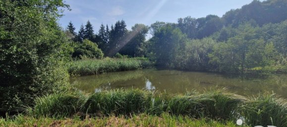 Grundstück in Bourguignon-sous-Montbavin, France 10000m², Nr. 241941 8