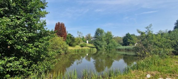 Grundstück in Bourguignon-sous-Montbavin, France 10000m², Nr. 241941 10