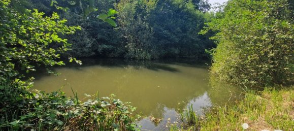 Grundstück in Bourguignon-sous-Montbavin, France 10000m², Nr. 241941 3