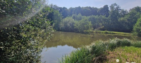 Grundstück in Bourguignon-sous-Montbavin, France 10000m², Nr. 241941 7