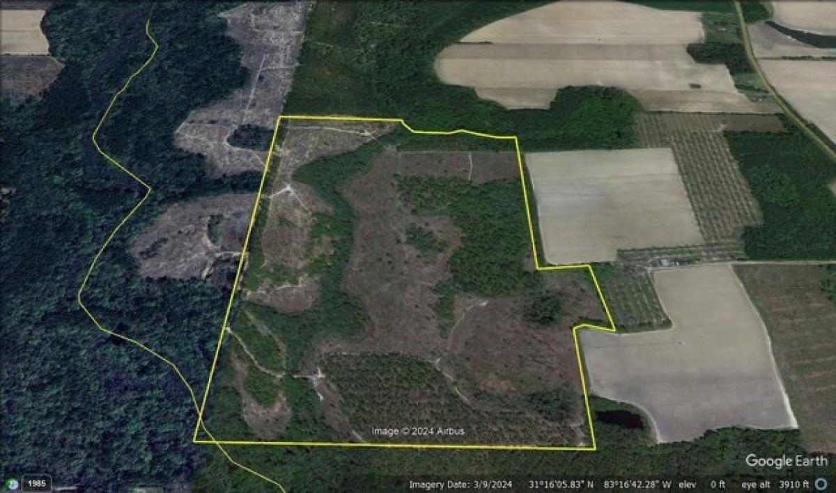 Terreno en Nashville, USA No. 473936