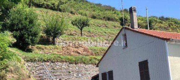 11 chambres Maison à Quiliano, Italy No. 99729 4