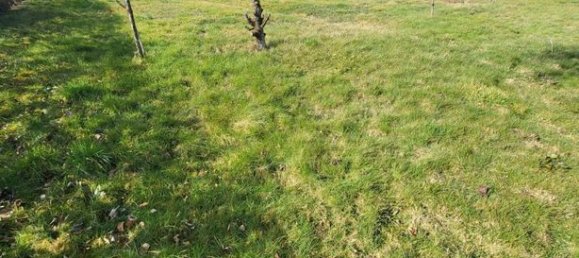  قطعة أرض في Pont-de-Vaux, France 1170متر مربع رقم 307793 4