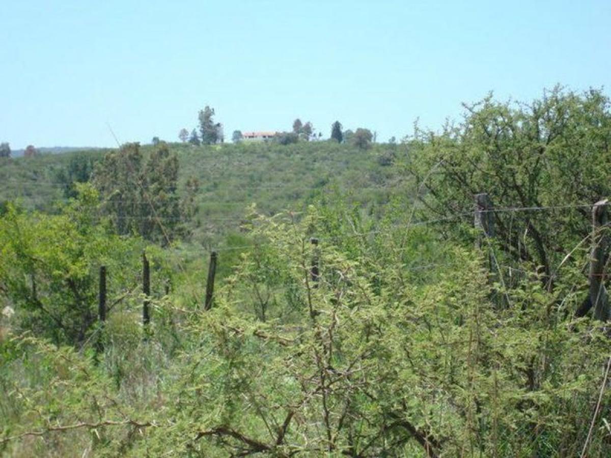 Terrain à Cordoba, Argentina No. 49973