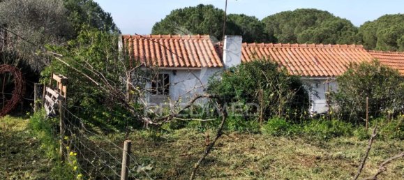 3 chambres Maison à Santiago do Cacem, Portugal No. 73296 13