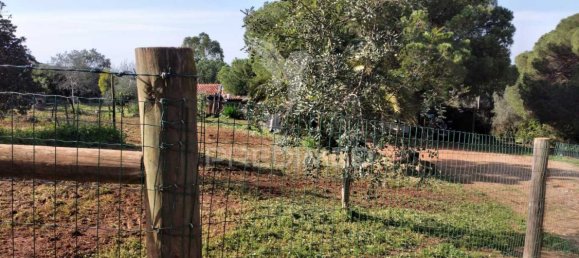 3 chambres Maison à Santiago do Cacem, Portugal No. 73296 28