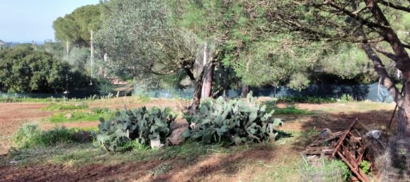 3 chambres Maison à Santiago do Cacem, Portugal No. 73296 25