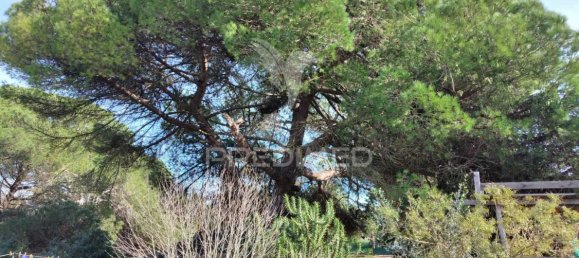 3 chambres Maison à Santiago do Cacem, Portugal No. 73296 32