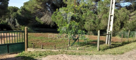 3 chambres Maison à Santiago do Cacem, Portugal No. 73296 29