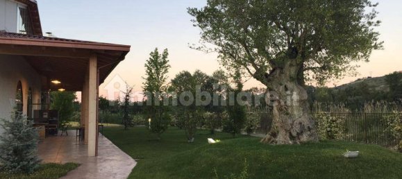 2400m² Warehouse in Loreto Aprutino, Italy No. 346315 2