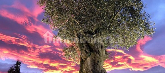 2400m² Warehouse in Loreto Aprutino, Italy No. 346315 14