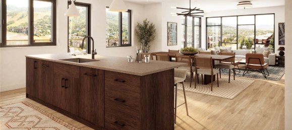 Café/restaurante de 4 dormitorios en Steamboat Springs, USA No. 289 2