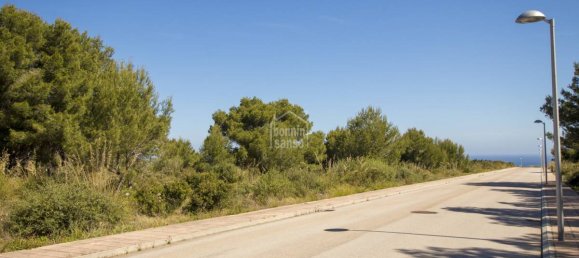  Land in Es Mercadal, Spain No. 3782 10