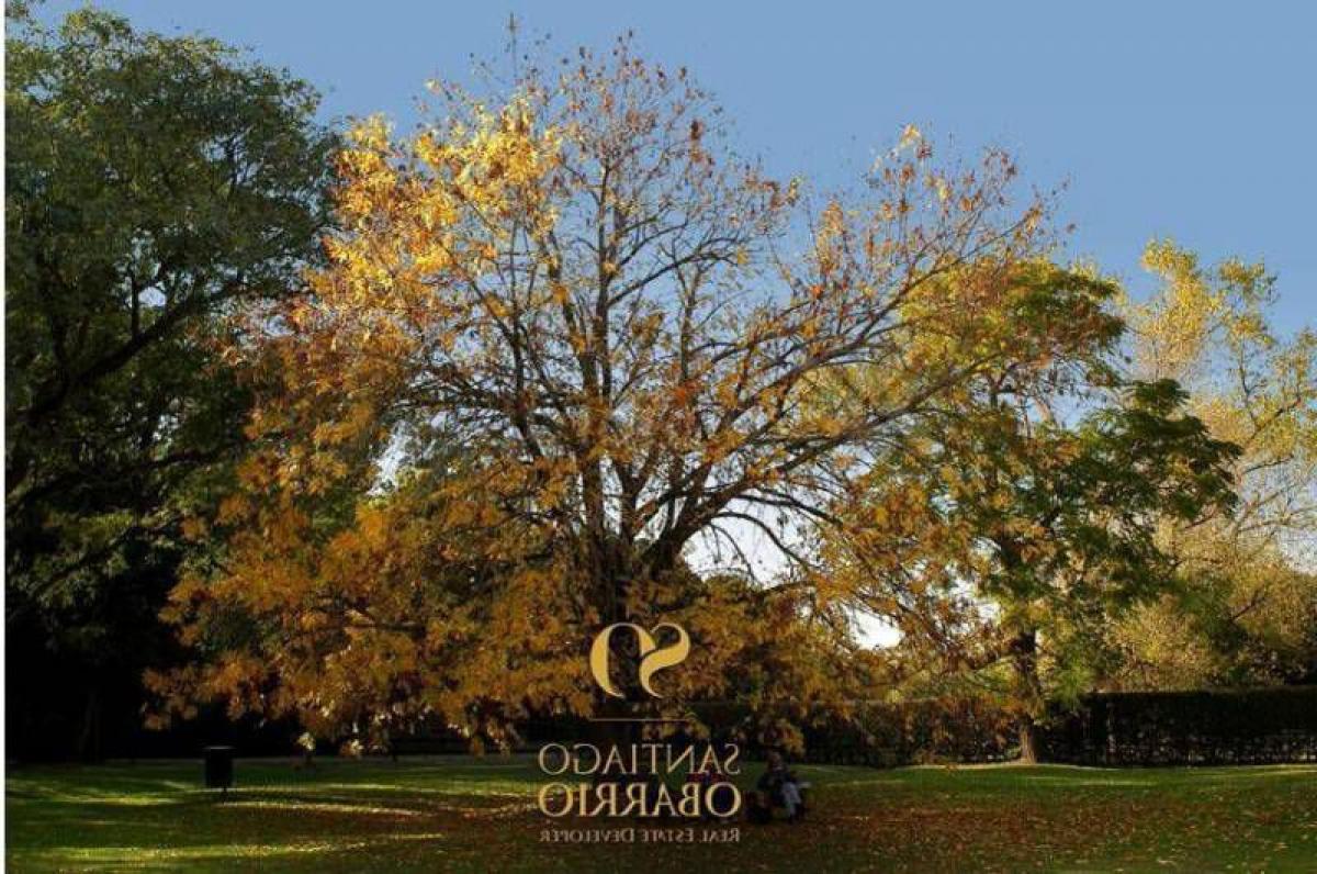  Land in Buenos Aires, Argentina No. 119435