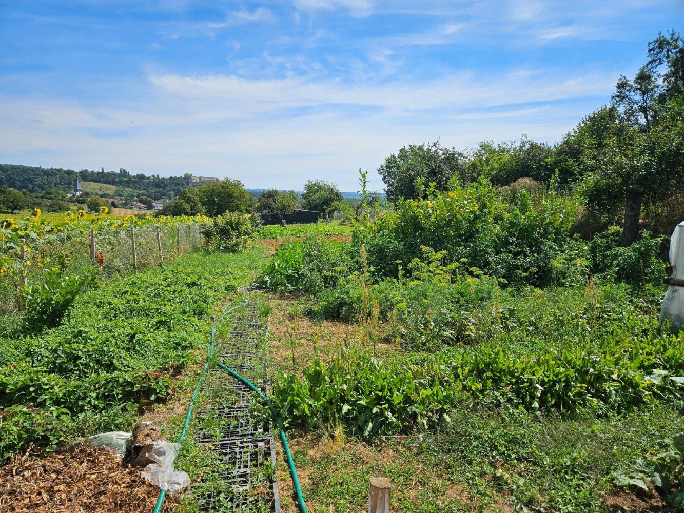 Terreno en Heilbronn, Germany No. 304854