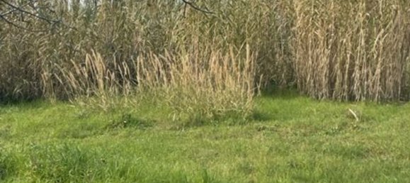 Grundstück in Miglianico, Italy 2550m², Nr. 172276 10