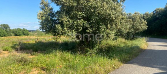 Land in Alcanena, Portugal No. 196292 6