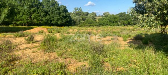 Land in Alcanena, Portugal No. 196292 4