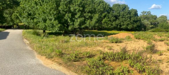 Land in Alcanena, Portugal No. 196292 3