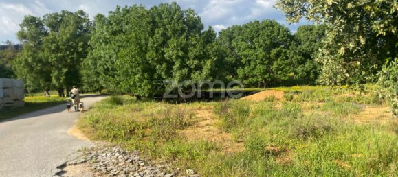 Land in Alcanena, Portugal No. 196292 5