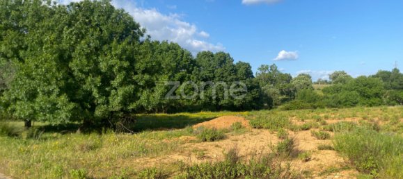 Land in Alcanena, Portugal No. 196292 2
