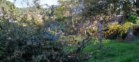 1390m² Land in Baiao, Portugal No. 41129 3