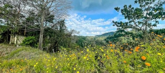 Land for sale in Puntarenas, Costa Rica № 1678 6