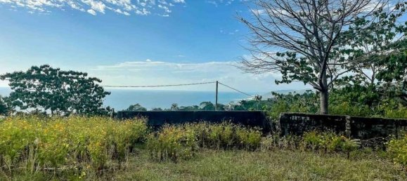 Land for sale in Puntarenas, Costa Rica № 1678 4