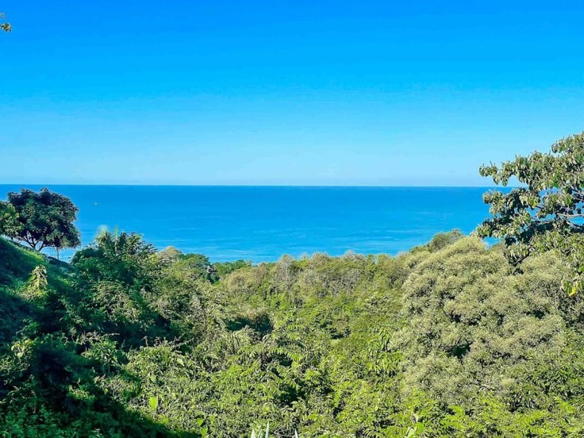 Land for sale in Puntarenas, Costa Rica № 1678